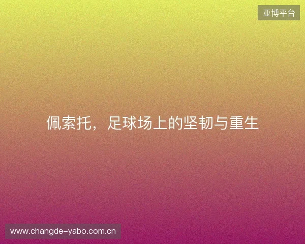 佩索托，足球场上的坚韧与重生